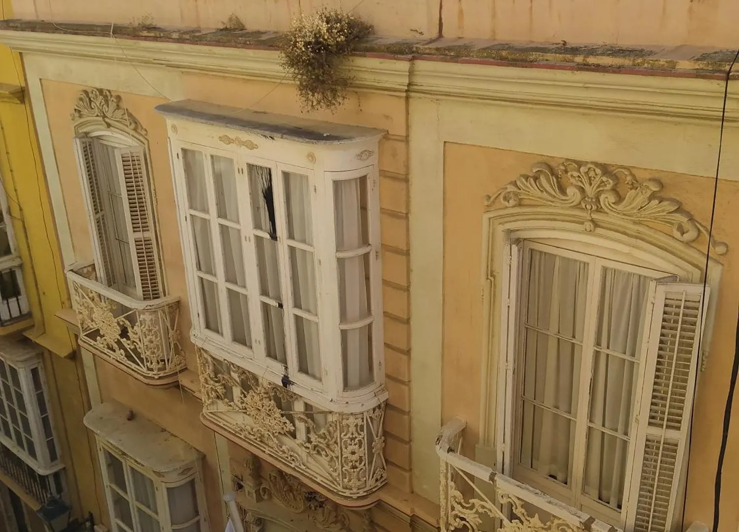 Canovas Cadiz Spain